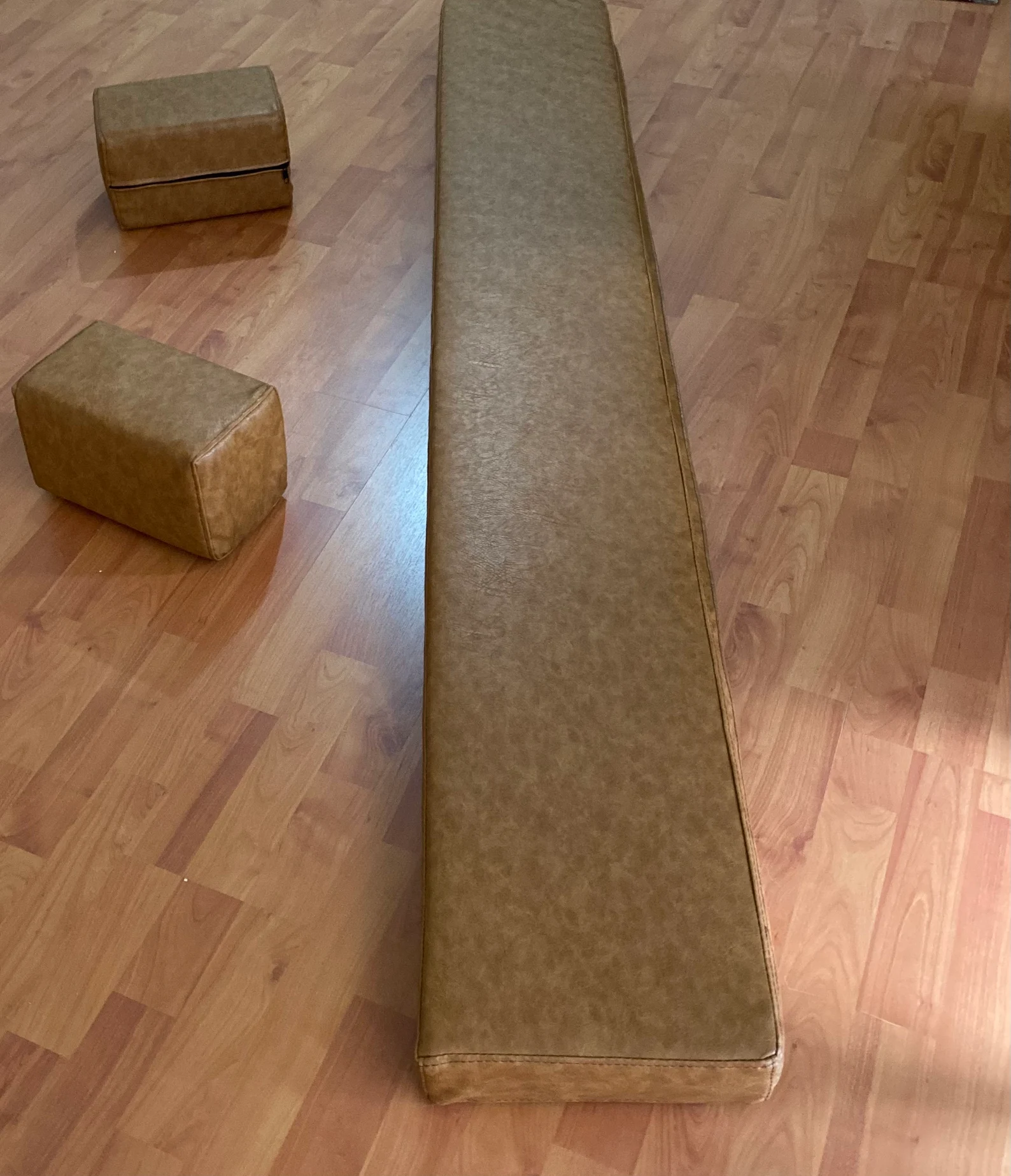 Faux Leather Flat Cushions